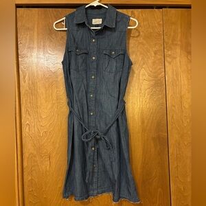 Universal Thread Blue Denim Dress
